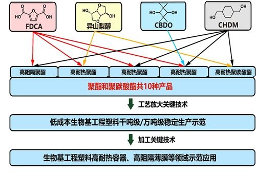 寧波材料所國家重點研發計劃項目獲批立項，生物基材料技術研發開啟新篇章